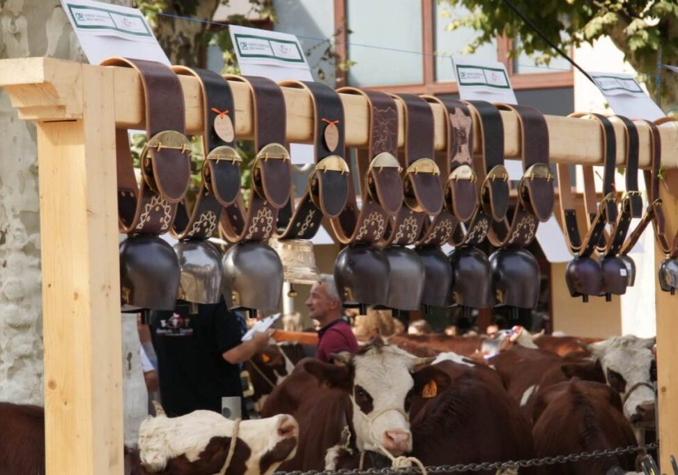 ©Mairie de Thônes-Foire-St-Maurice-2